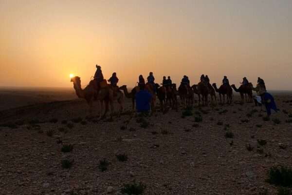 Agafay Rocky Desert with Camel Trek & Ourika Valley Trip