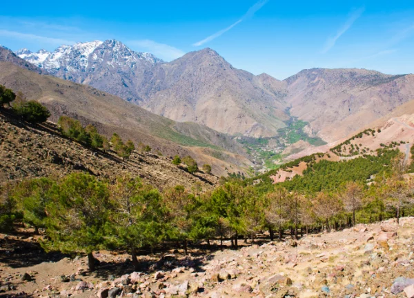 Day Trip Ourika Valley & Setti Fatma with Lunch - Image 6